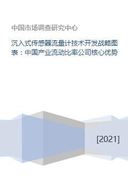 沉入式傳感器流量計技術開發(fā)戰(zhàn)略與中國產業(yè)流動比率公司核心優(yōu)勢分析